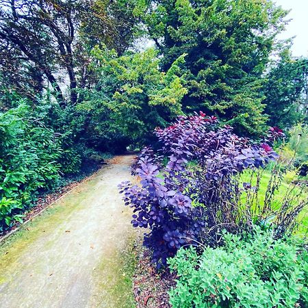 The Lucan Spa Hotel エクステリア 写真